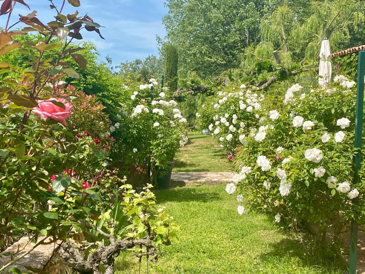 Villa Des Roses Roussillon en Isere Exterior foto