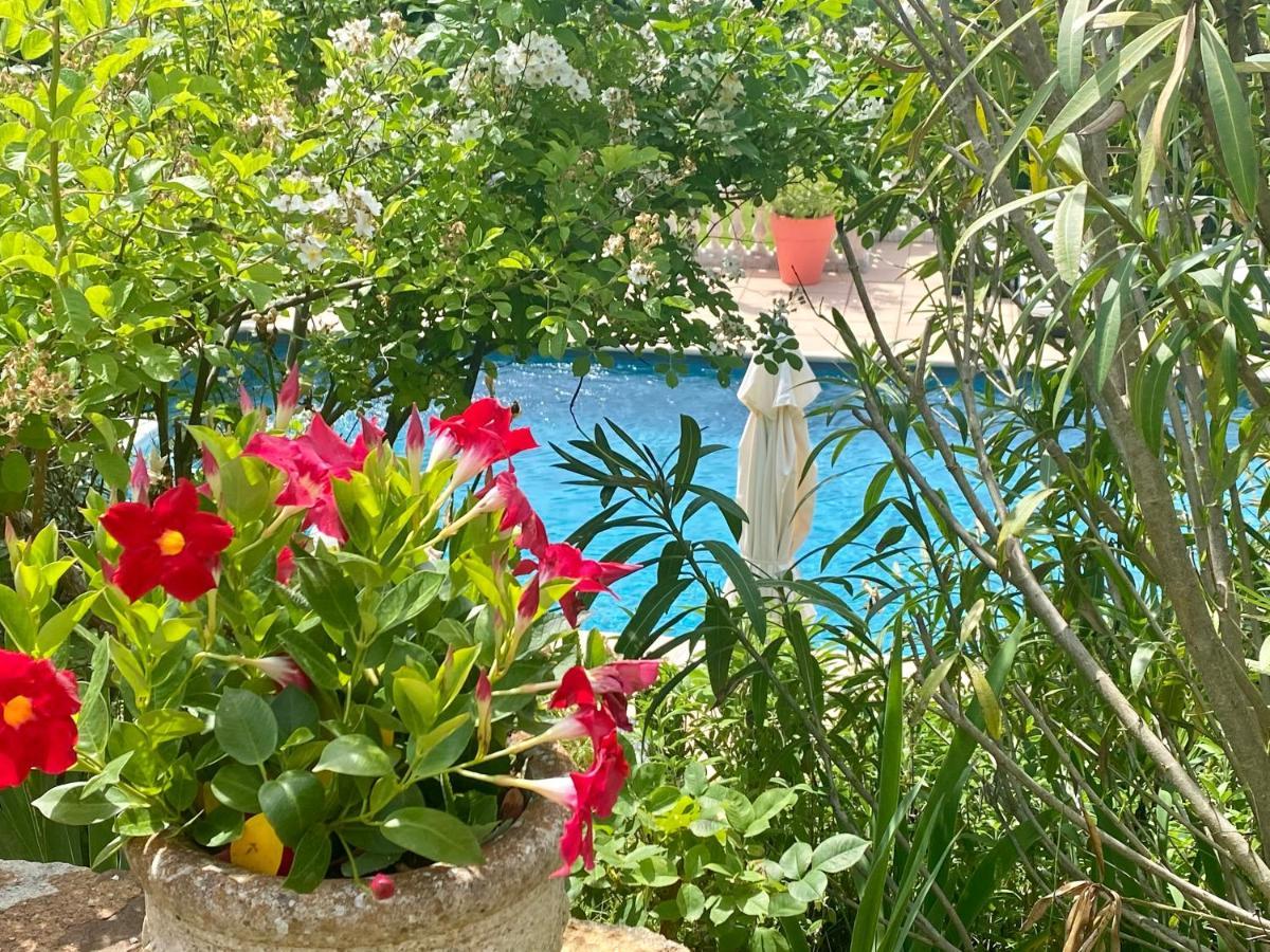 Villa Des Roses Roussillon en Isere Exterior foto